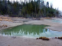 Yellowstone Norris Geyser (96).JPG